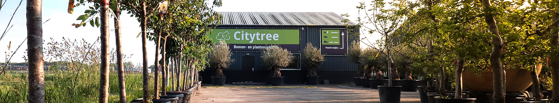 CityTree bomen- en plantencentrum in Heerjansdam
